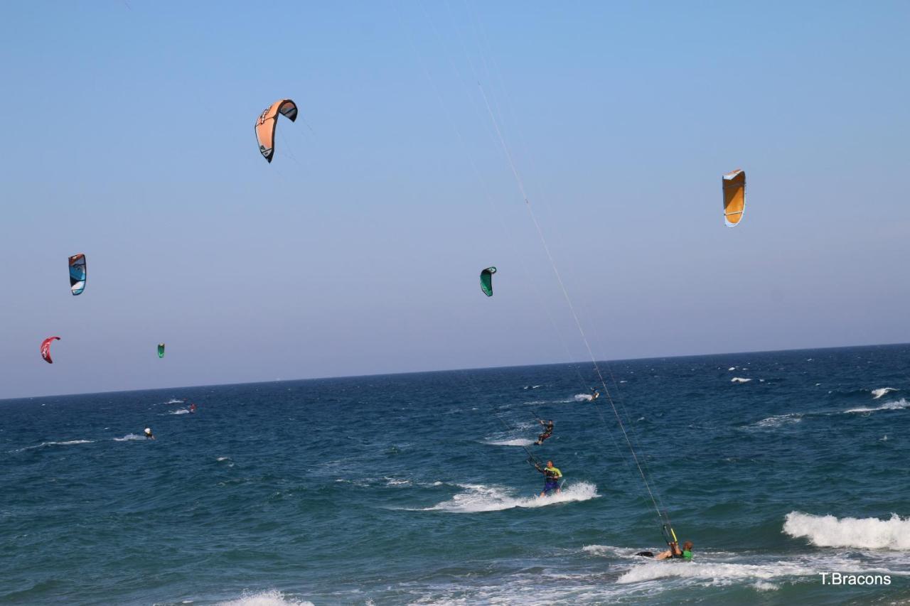 Los Pelicanos Miami Playa Dış mekan fotoğraf