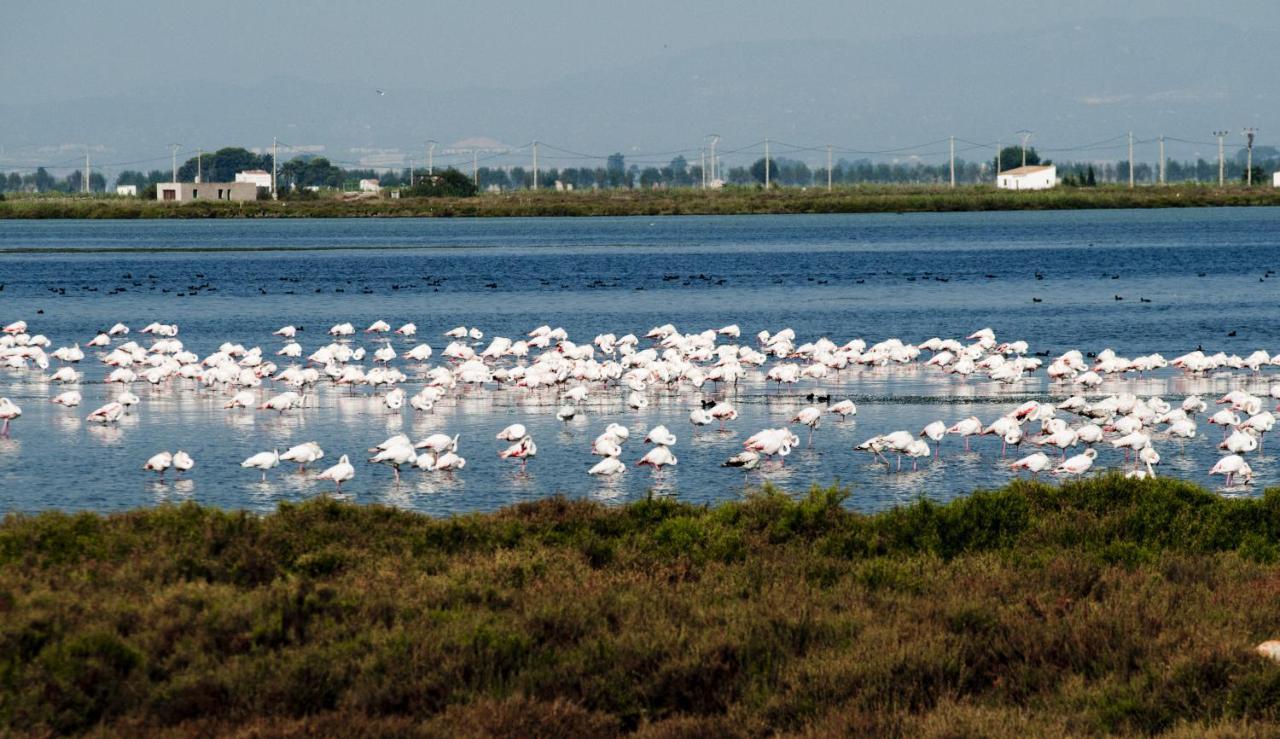 Los Pelicanos Miami Playa Dış mekan fotoğraf